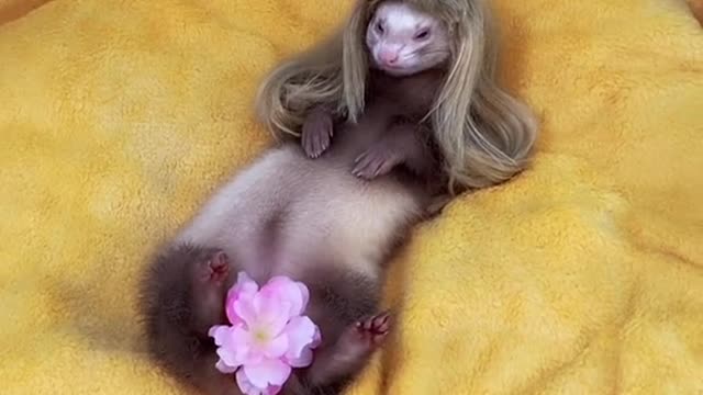 Billie eilish in my house Whattt!! 😱