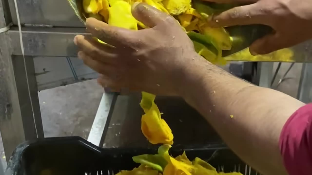 Indian Street Food Part 4