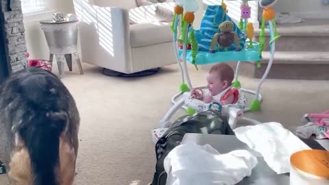 Best video of Cute Babies and Pets - Funny Baby and Pet