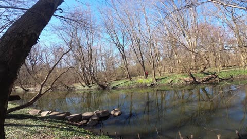 A calm Sunday walk at The Bronx