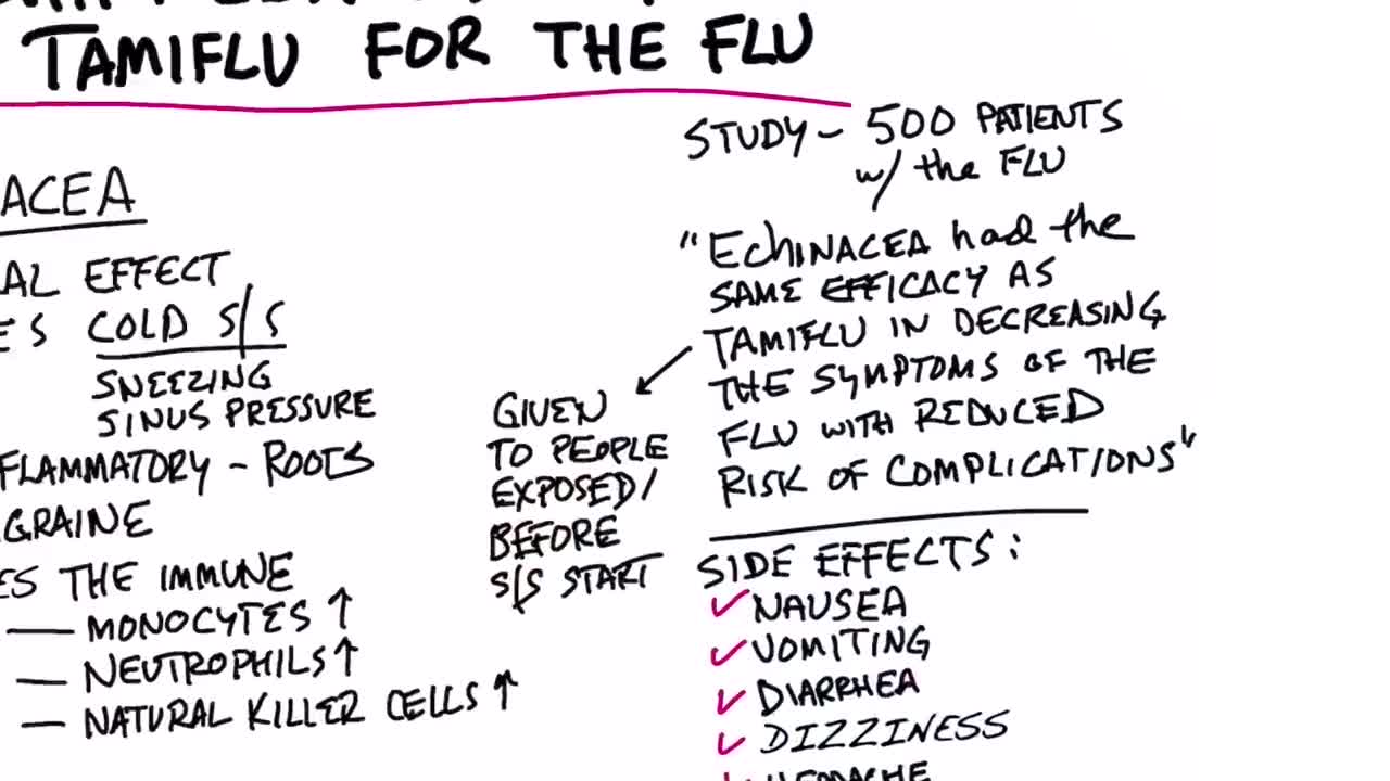 Echinacea is as Effective as Tamiflu for the Flu