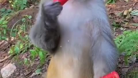 love ur content bro