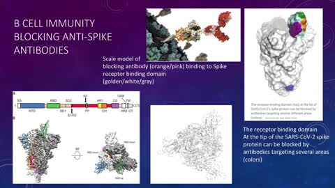 Dr Robert Malone - MRNA Vaccines Explained For Real