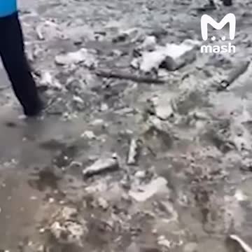 denazified - How to say Shalom in Polish 🤡 ? Polish Nazi mercenaries in the Kharkiv bombed to hell