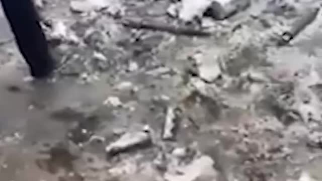denazified - How to say Shalom in Polish 🤡 ? Polish Nazi mercenaries in the Kharkiv bombed to hell