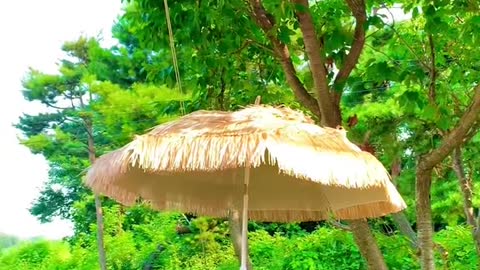 Beautiful scenery. Come and have a look
