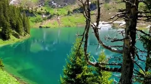 amazing landscape 1