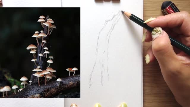 How to paint mushrooms with watercolors