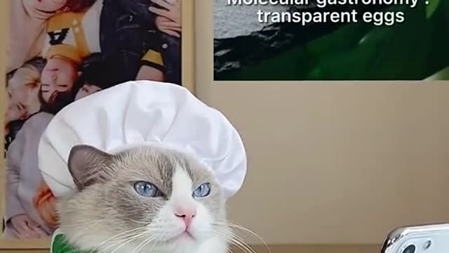 I think Puff is taking things to the next level ☺️