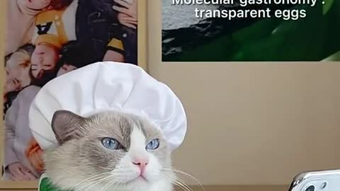 I think Puff is taking things to the next level ☺️