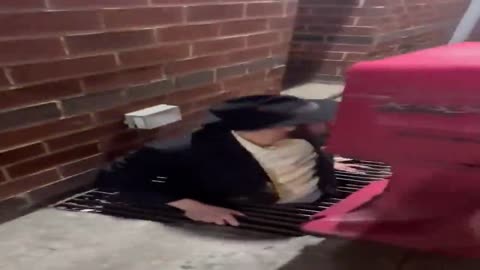 Jew rats escaping Jew rape tunnel though sewers