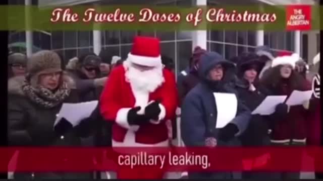 12 Doses At Christmas