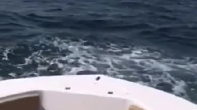 😱😱😱