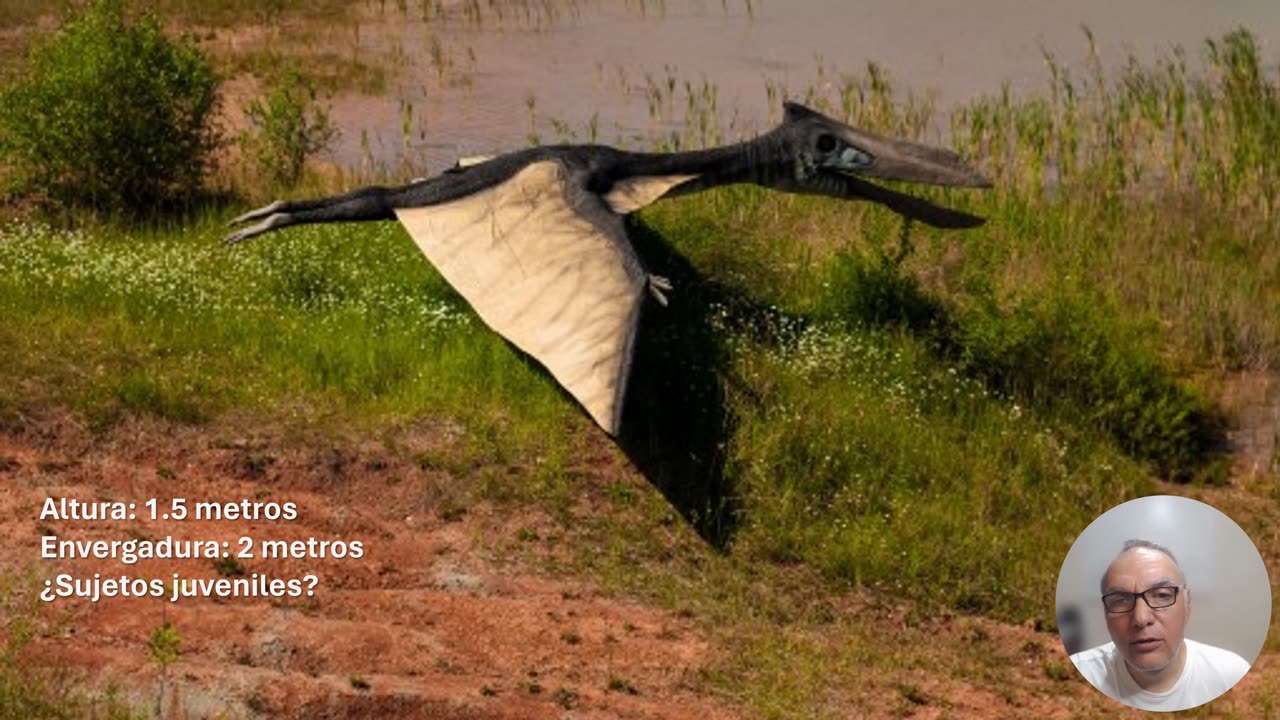 Pterodactilos en la barranca de Huentitan