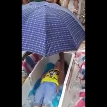 Child harvest caught!