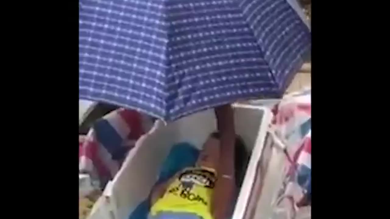Child harvest caught!