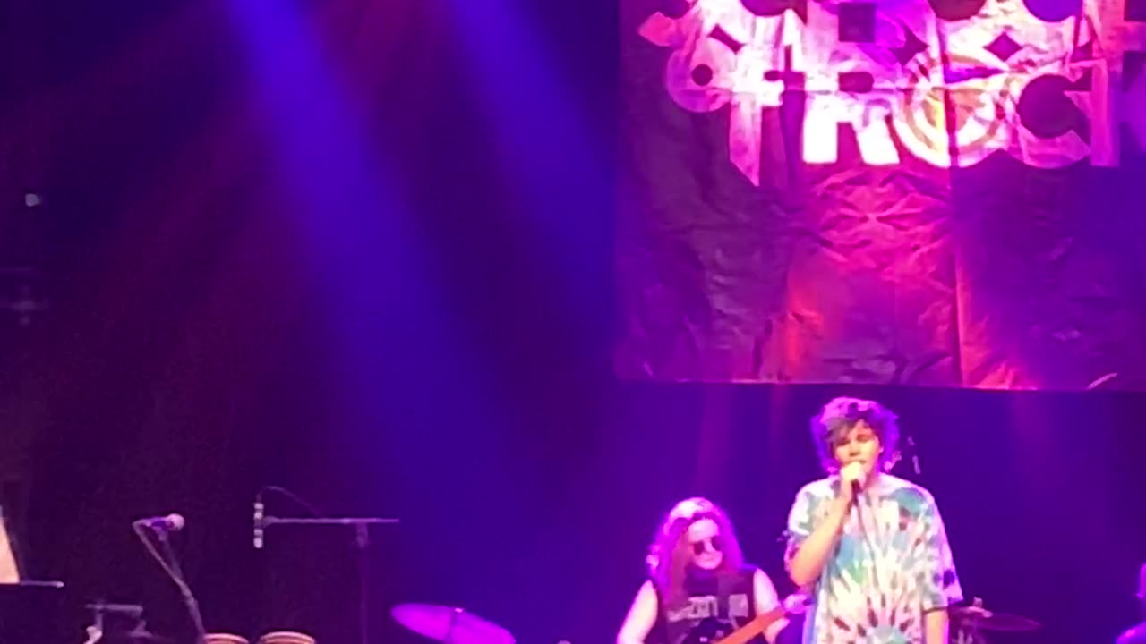 Never Fall in Love Again