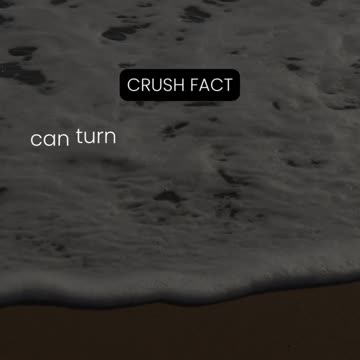 Girls have an amazing ability... Girl Fact