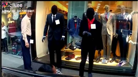 Top funny videos