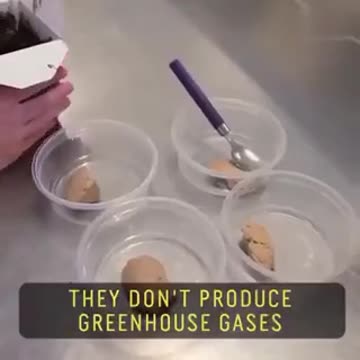 Entomilk - Milk From INSECT LARVAE!!!