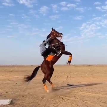 Super Horse
