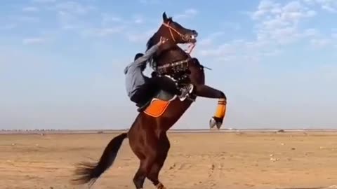 Super Horse