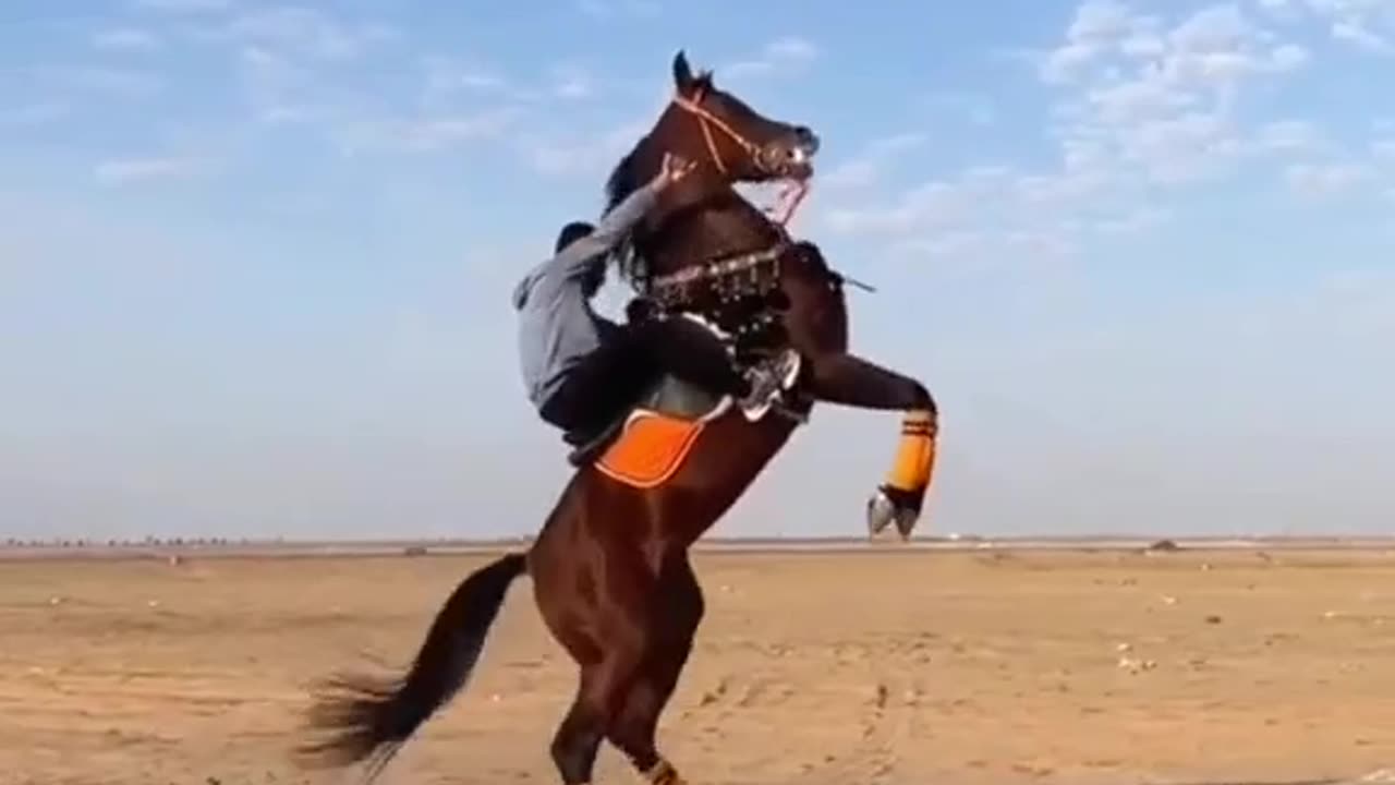 Super Horse