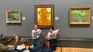 Climate activists defile Van Gogh's Sunflowers at the National Gallery and glued themselves to the wall.