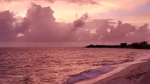 beauty is present...