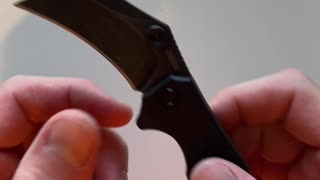 Outlier | Kershaw Karambit Knife