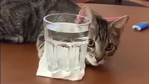 Take your water