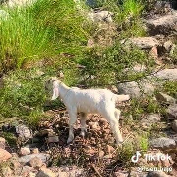 Balochistan weldeness life