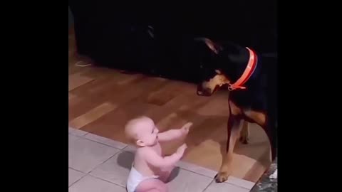 Baby Can't Stop Laughing at Playful Dog
