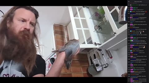 2023-05-26 (1bis) - Il a looté un pigeon - Twitch Meutemediatique (version avec chat)