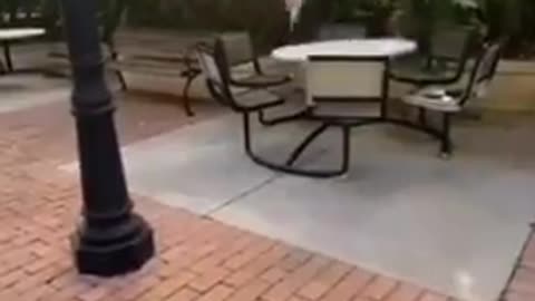 Flop