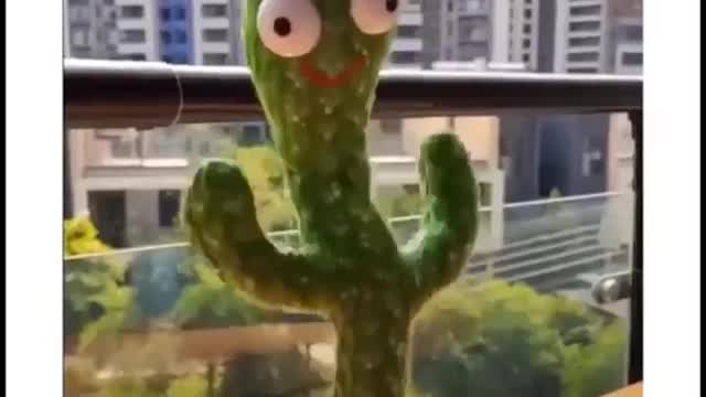 Baby video
