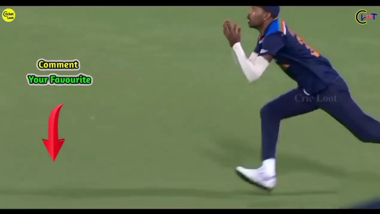 amazing catches in cricket ever 🔥🔥