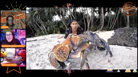 AutoDidactic Alchemist Reviews YBG Young Bloods Tidal Pools Coral Reefs