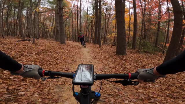 Hickory Mtn Loop DuPont North Carolina