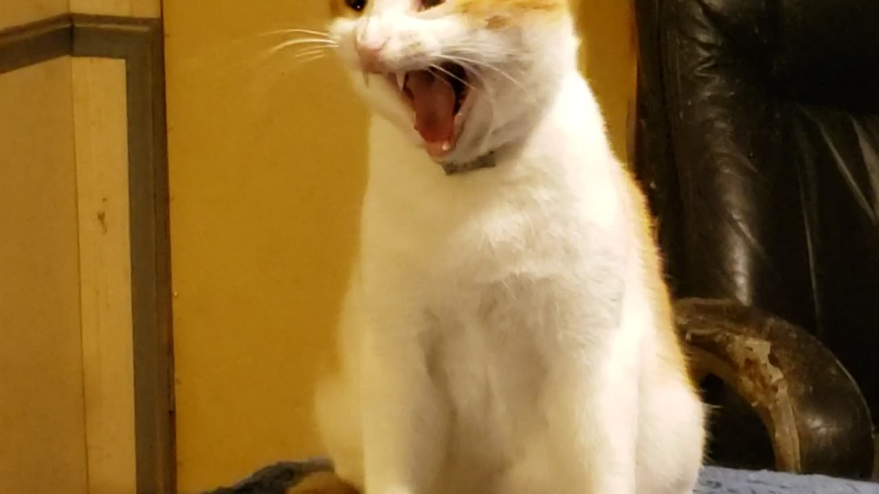 Has this ever happened to you?