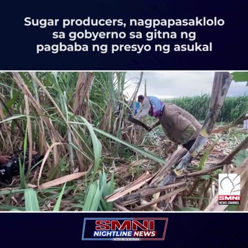 Sugar producers, nagpapasaklolo sa gobyerno sa gitna ng pagbaba ng presyo ng asukal
