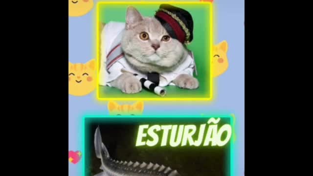 Gato Policial (Policial Cat)