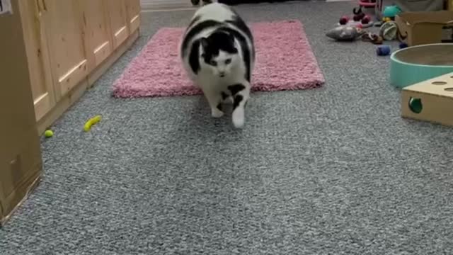 Mommy I’m hungry…..