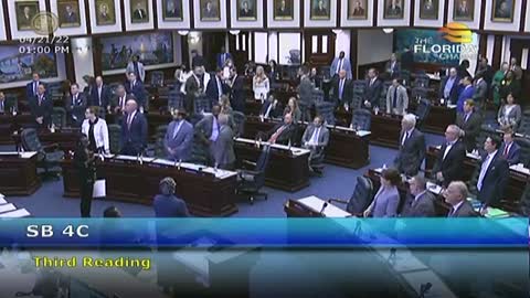 Libs Have Temper Tantrum on House Floor