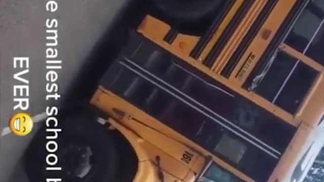 Little fun to ease your mind