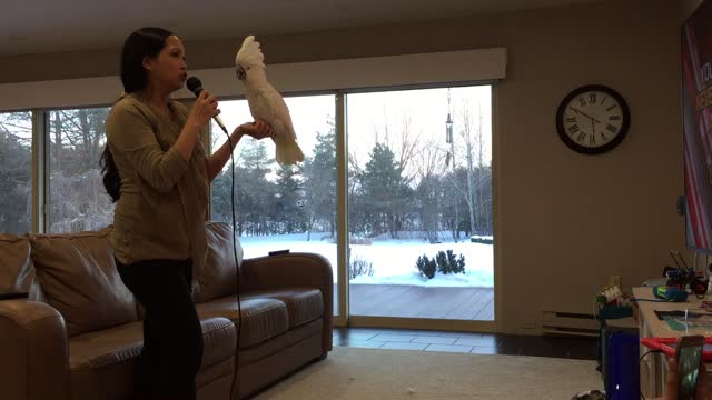 Woman Sings Karaoke With Her Cockatoo Partner