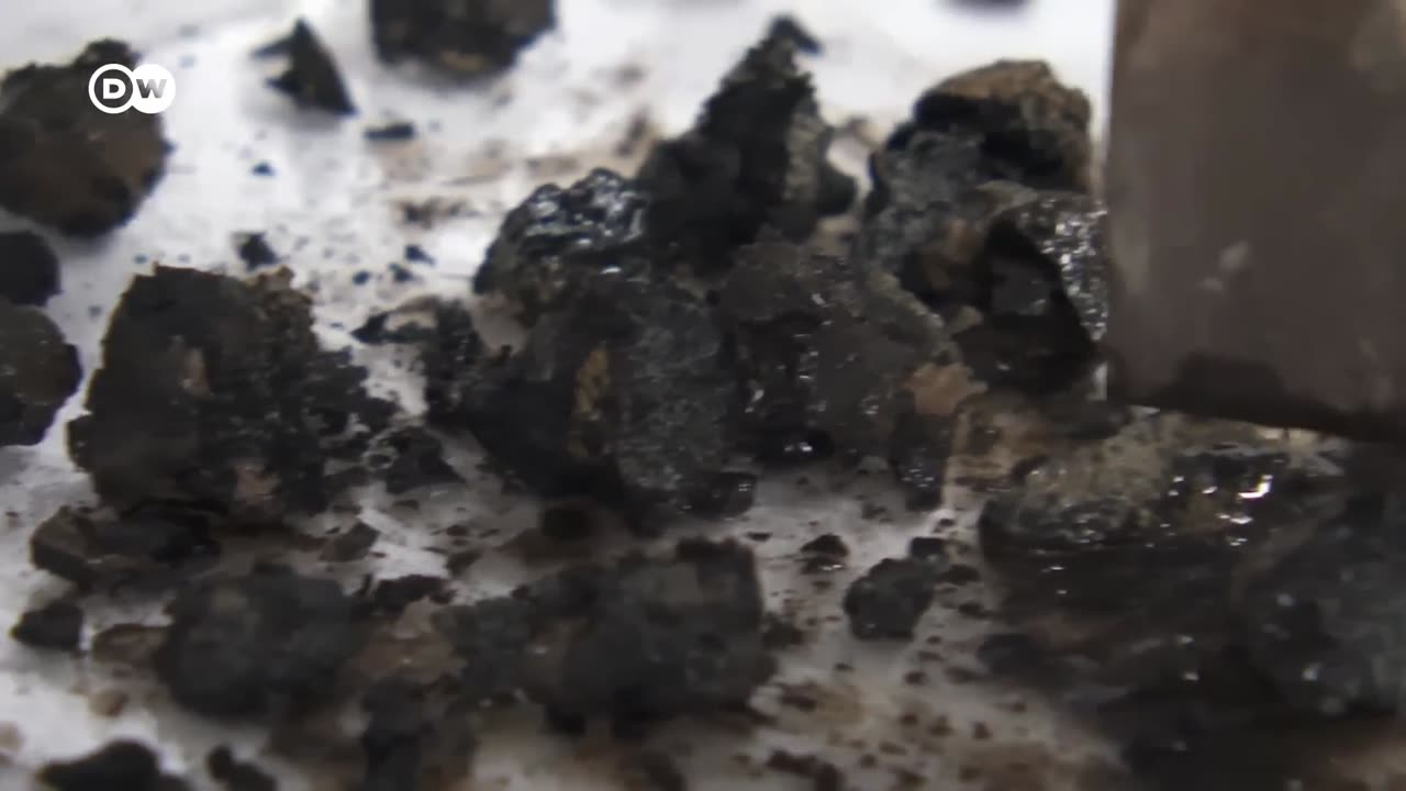 How humans are exploiting the oceans