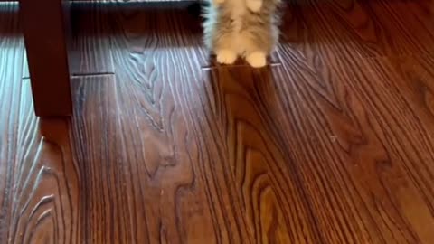 So cute