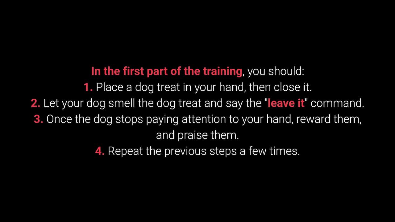 TRAIN YOUR DOG TO LEAVE IT - BASIC DOG TRAINING #3