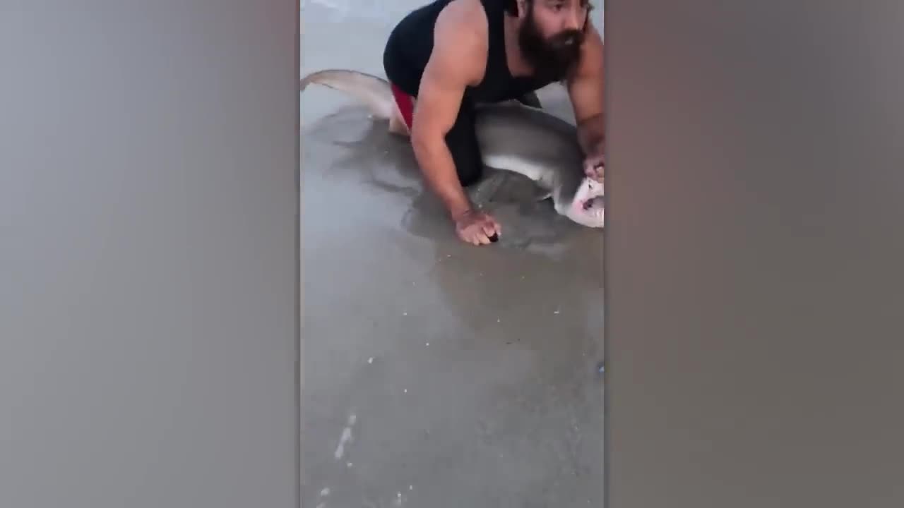 QUANDO UNS HOMENS ESTAVAM PESCANDO, ISSO VEIO ATÉ ELES DA GRAMA ALTA